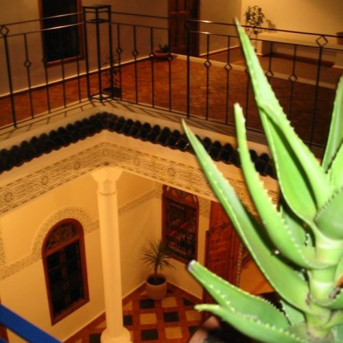 Courtyard