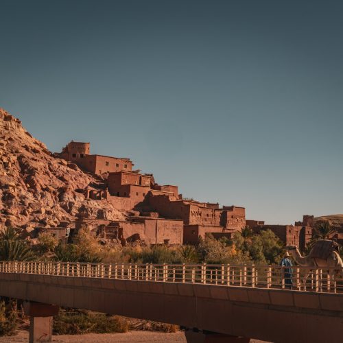 Ait Ben Haddou und Kamele