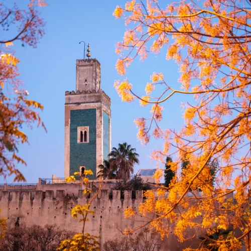 Meknes, Marokko