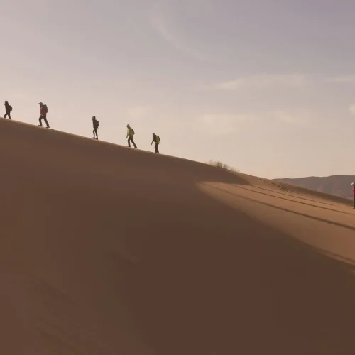 Sahara-Wanderung