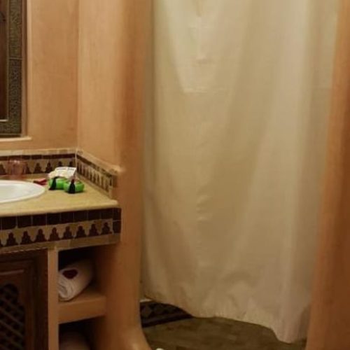 Bathroom shower