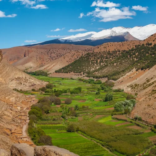 shutterstock_1560460421