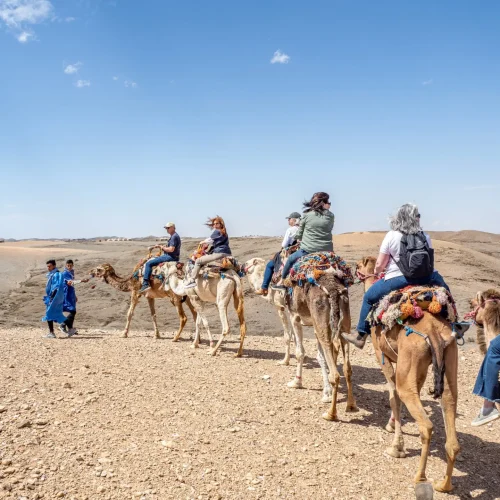 Dromedarritt in der Agafay Wüste